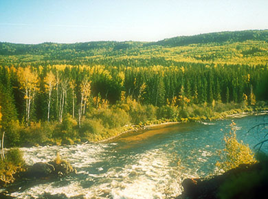 clearwater_river_saskatchewan_wildnis_reisen_kanada
